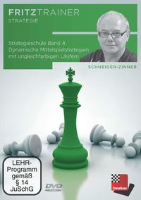 Bild vom Artikel Strategieschule Band 4 vom Autor Harald Schneider-Zinner