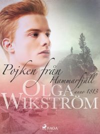 Produktbild: Pojken fr&aring;n Hammarfj&auml;ll :anno 1813