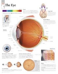 Produktbild: Eye Chart