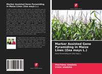 Produktbild: Marker Assisted Gene Pyramiding in Maize Lines (Zea mays L.)