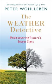 Produktbild: The Weather Detective
