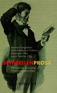 Produktbild: Schwellenprosa