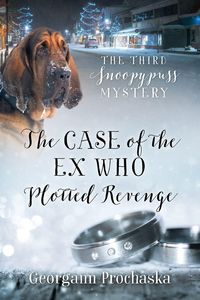 Produktbild: The Case of the Ex Who Plotted Revenge