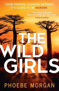 Produktbild: The Wild Girls