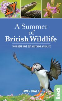 Produktbild: Summer of British Wildlife