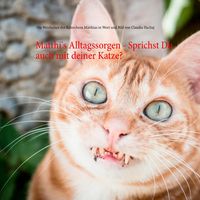 Bild vom Artikel Matthi's Alltagssorgen - Sprichst Du auch mit deiner Katze? vom Autor Claudia Hachaj