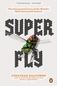 Produktbild: Super Fly