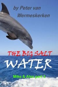 Produktbild: The Big Salt Water (Mike & Alex, #3)