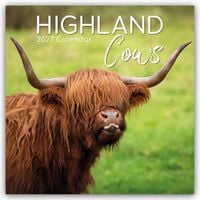 Produktbild: Highland Cows &ndash; Hochland-K&uuml;he &ndash; Hochlandrinder 2027 &ndash; 16-Monatskalender
