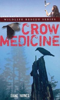 Produktbild: Crow Medicine