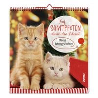 Produktbild: Auf Samtpfoten durch den Advent