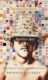 Produktbild: Barrio Boy