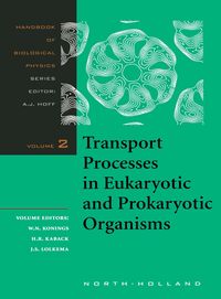 Produktbild: Transport Processes in Eukaryotic and Prokaryotic Organisms