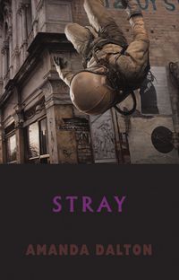 Produktbild: Stray