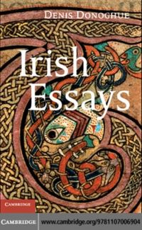 Produktbild: Irish Essays