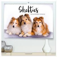 Produktbild: Shelties - Die zuckers&uuml;&szlig;en Vierbeiner. (hochwertiger Premium Wandkalender 2026 DIN A2 quer), Kunstdruck in Hochglanz