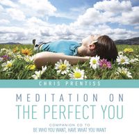 Produktbild: MEDITATION ON THE PERFECT YO D