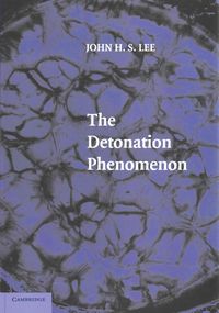 Produktbild: The Detonation Phenomenon