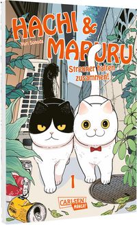 Produktbild: Hachi & Maruru &ndash; Streuner halten zusammen! 1