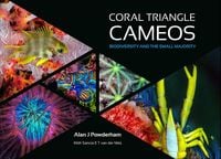 Produktbild: Coral Triangle Cameos