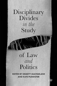 Produktbild: Disciplinary Divides in the Study of Law and Politics