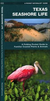 Produktbild: Texas Seashore Life