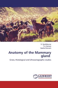 Produktbild: Anatomy of the Mammary gland