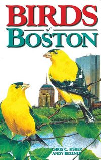 Produktbild: Birds of Boston