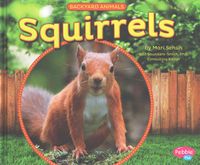 Produktbild: Squirrels