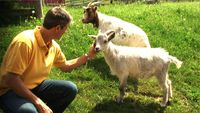 Gabel statt Skalpell - Gesünder leben ohne Fleisch