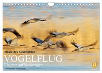 Bild vom Artikel Magie des Augenblicks - Vogelflug - Eleganz auf Schwingen (Wandkalender 2024 DIN A4 quer), CALVENDO Monatskalender vom Autor Winfried Wisniewski