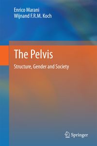 Produktbild: The Pelvis