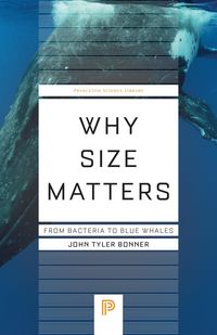 Produktbild: Why Size Matters