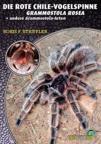Produktbild: Die Rote Chile-Vogelspinne