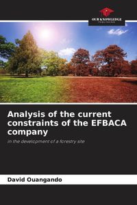 Produktbild: Analysis of the current constraints of the EFBACA company