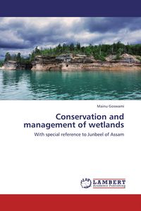 Produktbild: Conservation and management of wetlands