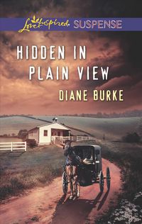 Produktbild: Hidden in Plain View