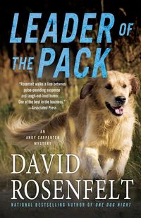 Produktbild: Leader Of The Pack