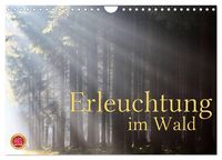 Produktbild: Erleuchtung im Wald (Wandkalender 2026 DIN A4 quer), CALVENDO Monatskalender