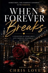 Produktbild: When Forever Breaks