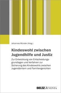 Produktbild: Kindeswohl zwischen Jugendhilfe und Justiz