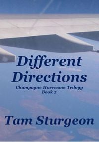 Produktbild: Different Directions - The Champagne Hurricane Trilogy - Book 2