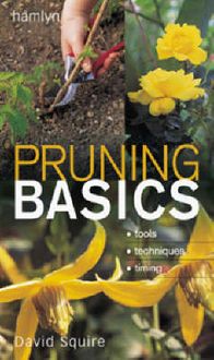 Produktbild: Pruning Basics