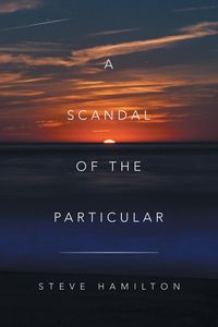 Bild vom Artikel A Scandal of the Particular vom Autor Steve Hamilton