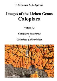 Produktbild: Images of the Lichen Genus Caloplaca, Vol 3