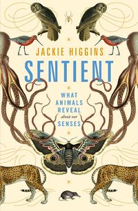 Produktbild: Sentient