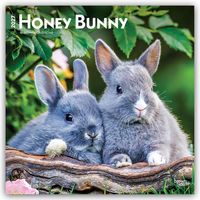 Produktbild: Honey Bunny &ndash; S&uuml;&szlig;e H&auml;schen 2027 &ndash; 16-Monatskalender