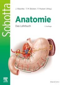 Produktbild: Sobotta Anatomie - Das Lehrbuch