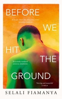 Produktbild: Before We Hit the Ground