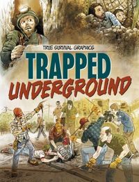 Produktbild: Planes in Peril